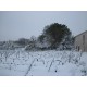 Vin Rouge Le Petit Caboche Vin de Pays du Vaucluse
