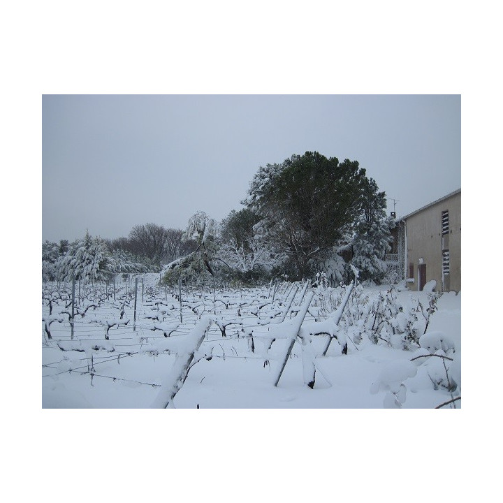 Le Petit Caboche rosé Cotes du Rhone