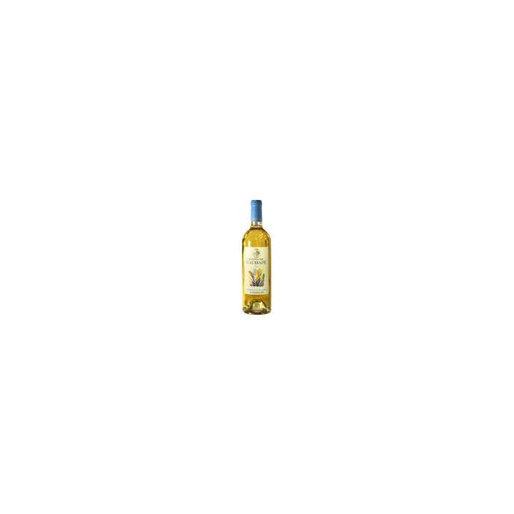 Symphonie de Novembre Jurançon domaine Cauhape par Henri Ramonteu
