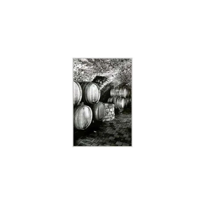 SANCERRE ROUGE GENERATION XIX par Alphonse Mellot 2013 75 cl