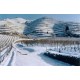 Cornas Chante Perdrix Vin de la Vallée du Rhône Rouge par Delas