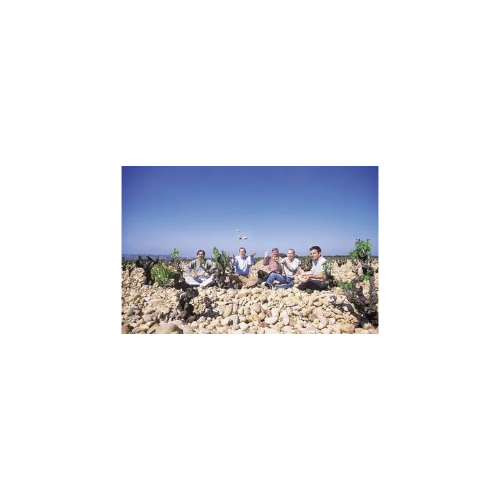 CHATEAUNEUF DU PAPE CHATEAU DE BEAUCASTEL rouge FAMILLE PERRIN