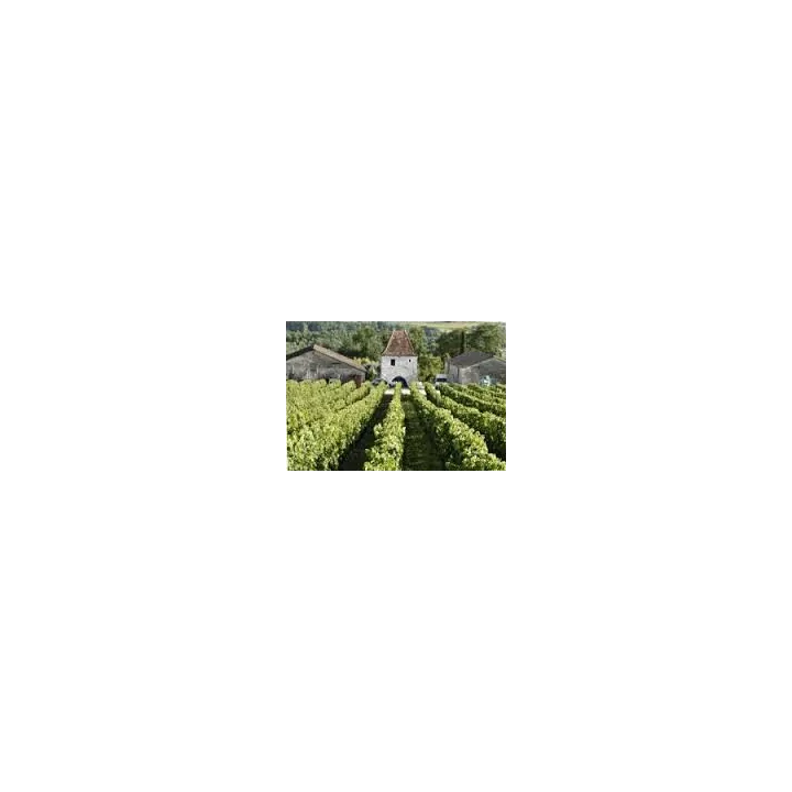 BERGERAC ROUGE CUVEE LA VIGNE D'ALBERT TOUR DES GENDRES  75 cl