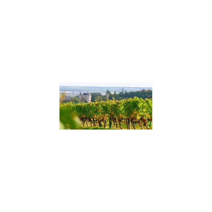 Acheter vin rouge du sud ouest vin Buzet Tradition Rouge