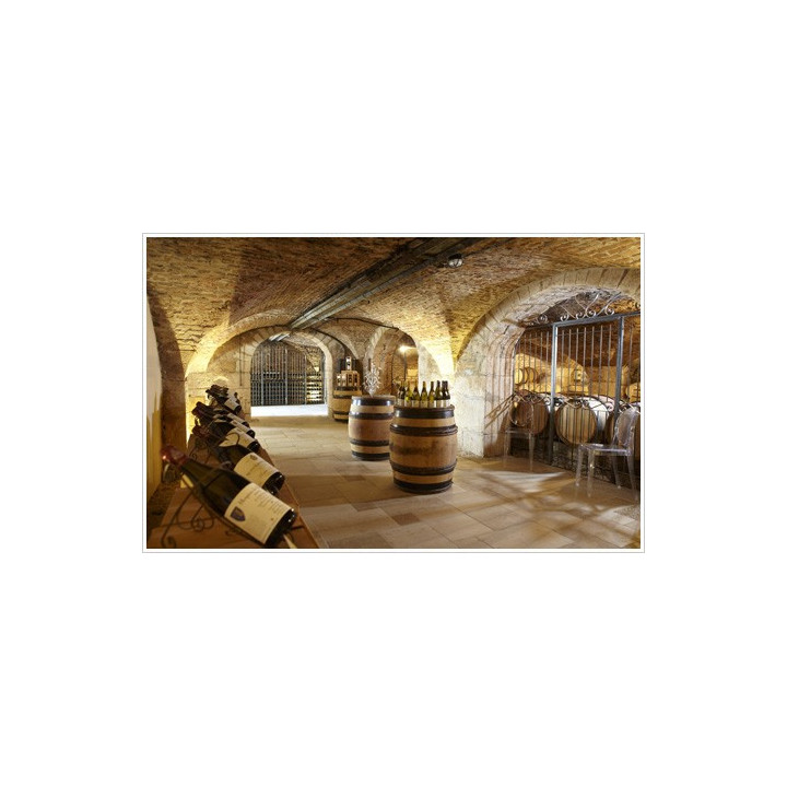 acheter Mâcon rouge Prosper Maufoux Domaine de Ruère