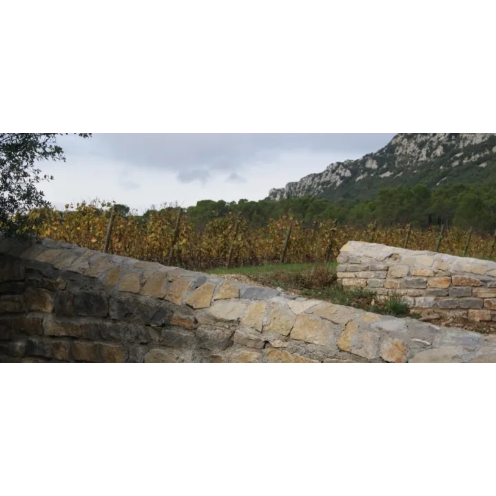DOMAINE DE L'HORTUS GRANDE CUVEE ROUGE VAL DE MONTFERRAND