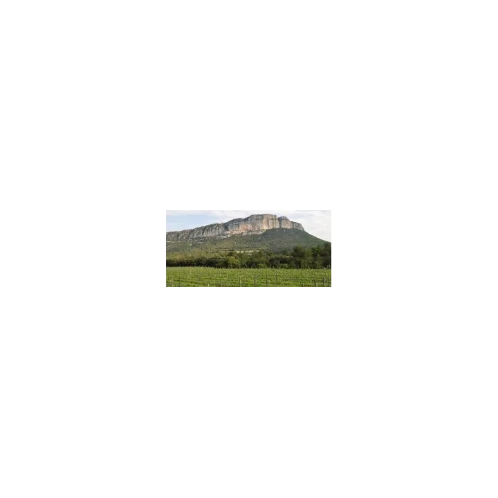 acheter DOMAINE DE L'HORTUS GRANDE CUVEE ROUGE PIC SAINT LOUP PAR JEAN ORLIAC 75 cl