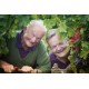 Chinon Vin Rouge par Pierre & Bertrand COULY Vin de Loire 