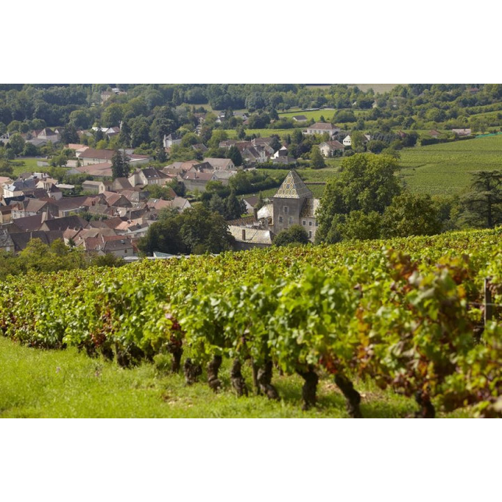 Acheter vin Blanc CHARDONNAY BOURGOGNE MAUFOUX blanc de bourgogne
