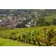 Mâcon Vin Rouge Prosper Maufoux Domaine de Ruère Vin de Bourgogne