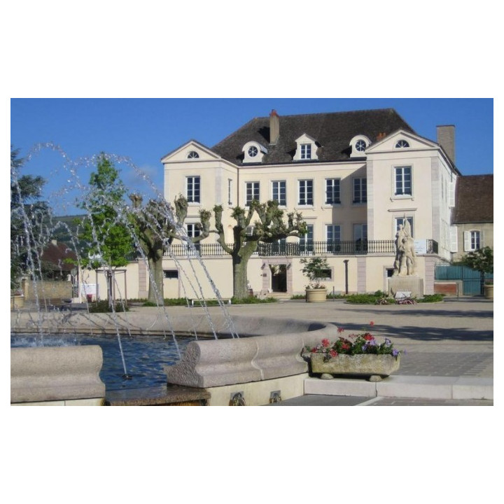 acheter Mâcon rouge Prosper Maufoux Domaine de Ruère