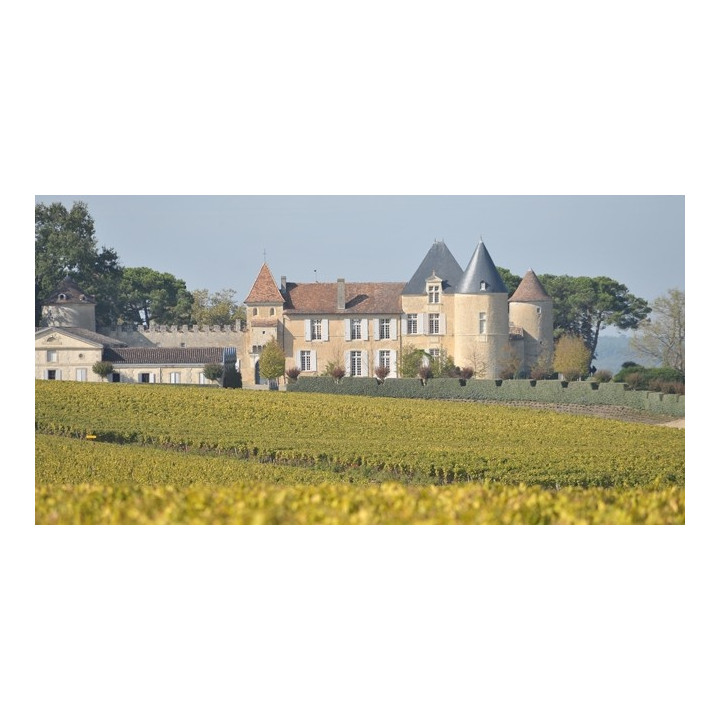 Château d'YQUEM 2006 SAUTERNES 1er cru supèrieur 75CL