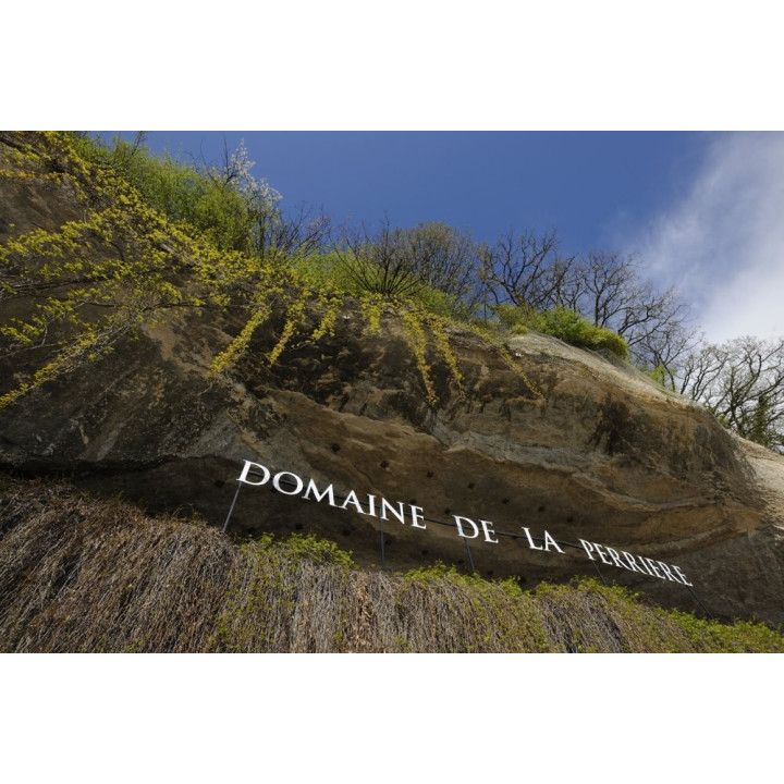 achat de vin blanc La Petite Perrière Sauvignon