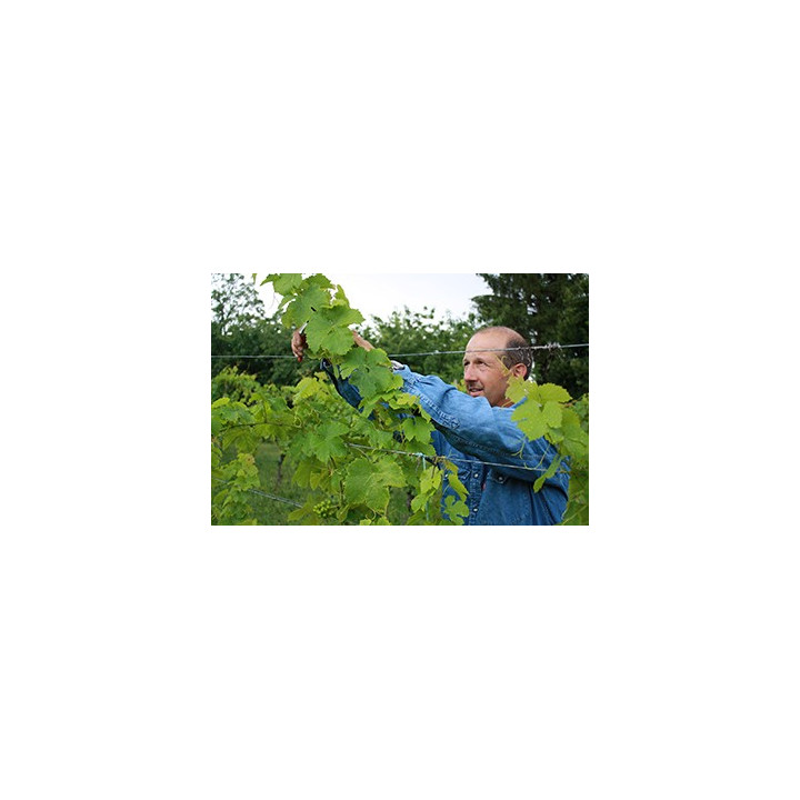 acheter vin Blanc Bio Gewurztraminer Heitz Vin Biologique