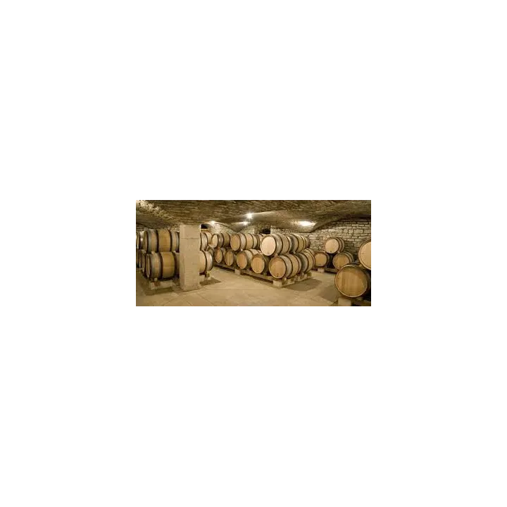 achat de Meursault Domaine Michelot vin blanc de bourgogne