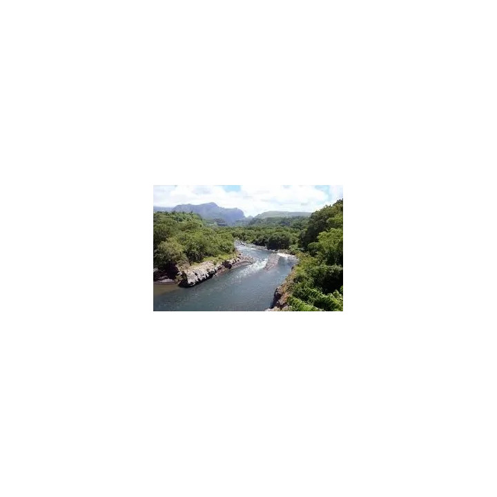 achat de Rhum vieux Rivière du Mat XO rivière du mat rhum