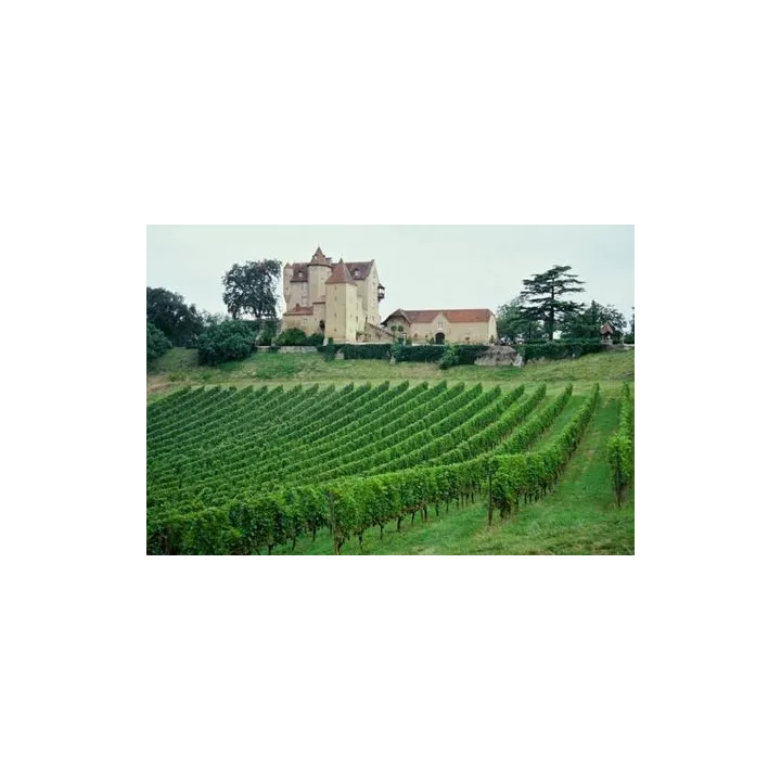 achat Montus Madiran Vin Rouge du Sud-Ouest par Alain Brumont 2018 75 cl