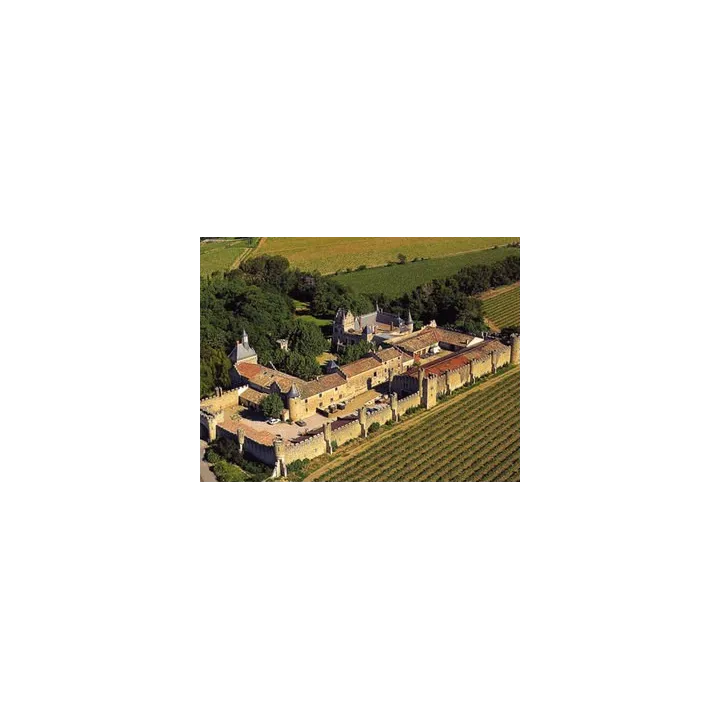 DOMAINE DE GREZAN CHARDONNAY IGP OC  chateau grezan faugeres