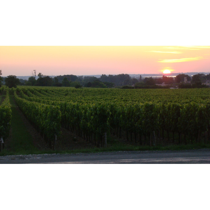 achat vin bordeaux Cap Saint-Martin Premières Côtes de Blaye