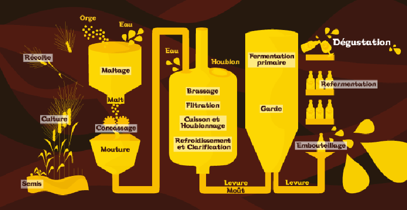 Système de filtrage de la bière (10) - La Boutique du vin et l'Art de la  bière