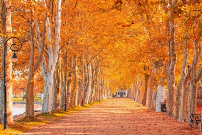 L'esprit d'Automne un Minervois Biologique tout le savoir faire de Michel Escand