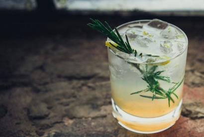 Le GIN ses origines la fabrication des Gins et le Gin dans les cocktails