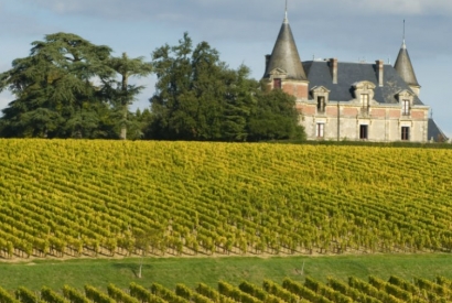 Second Vin de Bordeaux , pour en savoir plus !