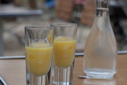 En savoir plus sur le Pastis  et l'Anisette