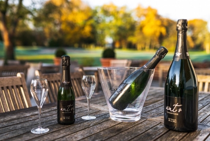 NAT'S Champagne Grand Cru Blanc de  Blancs